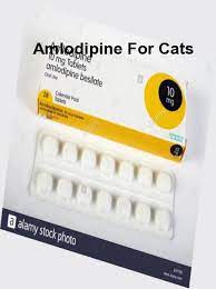 Oddly, one blood pressure medication can actually cause hair growth: Amlodipine Feline Amlodipine Cat