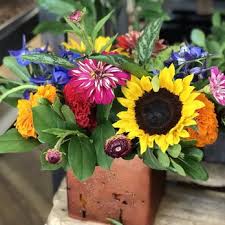 Sw thorny cove, bentonville, ar 72712, usa. Bloom Flowers Gifts 26 Photos 22 Reviews Florists 3316 Sw I St Bentonville Ar Phone Number Yelp