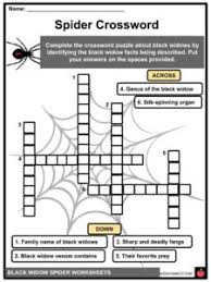The black widow spider has a reputation for being one of the most dangerous spiders in the world. Black Widow Spider Facts Worksheets Taxonomy For Kids