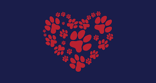 Check spelling or type a new query. Facts About A Dog S Heart Petlifesa