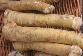 16 horseradish benefits for general body health: What Is Horseradish My Favourite Pastime