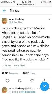 Cobra Chicken Just For Laughs Haha Funny Funny Quotes
