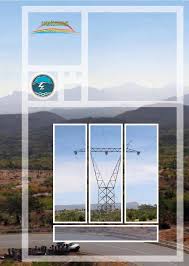 Image result for Vernonia gerberiformis