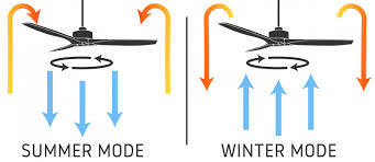 Ceiling Fan Direction Summer Or Winter Fanco Australia