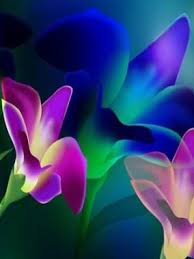 We did not find results for: Wallpaper Blue And Purple Flowers Background Download Free Mock Up