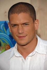 Top 100 Hottest Male Celebrities Imdb Wentworth Miller Prison Break Wentworth Miller Actors