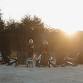 Serre Vineyards | Mount Airy, NC | Weddings  event image
