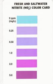 Api Water Test Color Chart Www Bedowntowndaytona Com