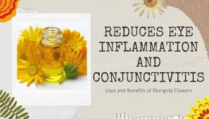 Thanks for sharing your knowledge! Uses And Benefits Of Marigold Flowers That You Don T Know Before