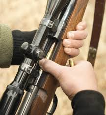 How to Choose a Suitable Hunting Rifle - Gunprime