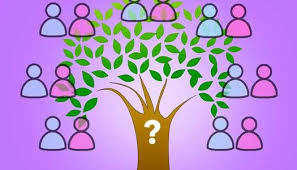 3 طرق لمعرفة شجرة العائلة بالرقم القومي في مصر.. اعرف نسبك لمين؟ - الوطن