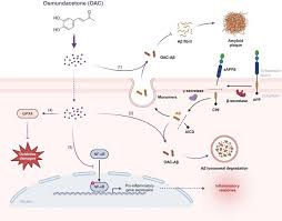 Image result for Pimpinella sp. A. of FZ 4: 594