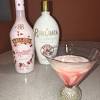 Place the ice in your shaker cup followed by the rumchata and the vodka. 1