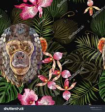 30 Monkey Face Orchid Images, Stock ...