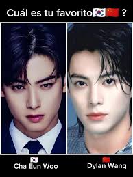 Cha Eunwoo and Dylan Wang: A Resemblance?