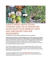 Penyediaan baja organik yg lengkap bagi penyediaan medium lubang tanaman durian di di video kali ini adalah tutorial membuat baja/pupuk organik thailand yang senang di ikuti cara pembuatan. Baja Kulit Telur