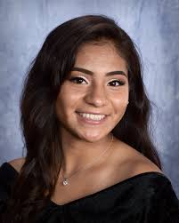 The Ledger's All-Academic Team for 2020-2021