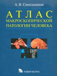 Атлас по анатомии синельникова незаменим для студентов медвузов, при изучении анатомии человека, и также будет полезен уже состоявшимся докторам и научным работникам. Kniga Atlas Makroskopicheskoj Patologii Cheloveka Aleksandr Sinelnikov Kupit Knigu Chitat Recenzii Isbn 978 5 7864 0208 8 Labirint