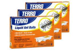 In the meantime, monitor your pet for any nausea (drooling or licking excessively), vomiting, diarrhea, lethargy, or any other signs of illness. Terro Ant Bait Review Does It Work 2021 Updated