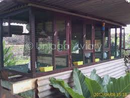 Dengan ditambah ransum kaya protein tinggi seperti ikan, keong atau tepung ikan membuat. Reban Burung Merpati Uniaga Aviary
