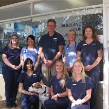 On the road saving lives. Bilgola Veterinary Clinic Home Facebook
