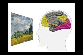 Aesthetic experience lives in the conscious realm. Dynamics Of Aesthetic Experience Are Reflected In The Default Mode Network Max Planck Neuroscience