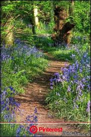Maybe you would like to learn more about one of these? Pin By Gaye Mcdonald On Woodland Gardening In 2020 Beautiful Gardens Natural Garden Woodland Garden Beauty Skincare Best Beauty 2020