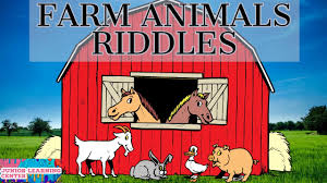 But you don't want me to be wasted. Animal Riddles For Kids Farm Animal Riddles With Answers Who Am I Youtube