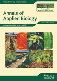 S phase, which stands for synthesis phase; Food Security The Challenge Of Increasing Wheat Yield And The Importance Of Not Compromising Food Safety Curtis 2014 Annals Of Applied Biology Wiley Online Library