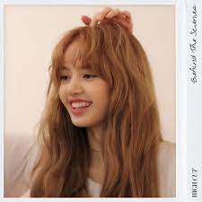 صور عضوات بلاك بينك blackpink beauty long hair styles