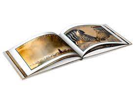 Vous trouverez dans cet article toutes les étapes à suivre pour réussir la je vous propose alors de découvrir comment réaliser un album photo sur internet. Les Meilleurs Sites Pour Creer Son Album Photo En Ligne Comparatif 2021 Le Juste Choix