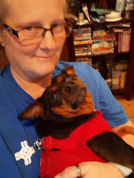 Does my dog look like a purebred mini pin?