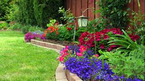 Lowe's hiring more than 600 in Colorado for spring garden season