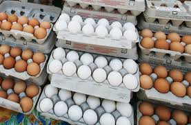 Image result for New research