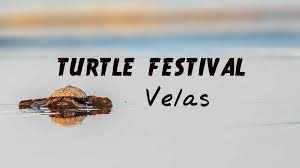 Velas Turtle Festival Tour At Mumbai Kolkata Events High Trhiller tv movie tv show uncategorized war war & politics western wuxia youth. events high