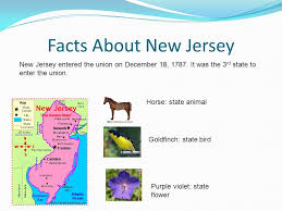 Check spelling or type a new query. By Andrew Fernandez New Jersey New Jersey The Garden State New Jersey Is Called The Garden State Because There Are A Lot Of Gardens And Flowers In Ppt Download