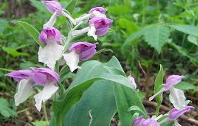 Maybe you would like to learn more about one of these? Vinton Today