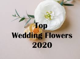 Every lovely flower tells another story, consolidating the bride on her big day. Top Wedding Flowers 2020 Perfect Wedding Guide Bliss Wedding Planning Blog