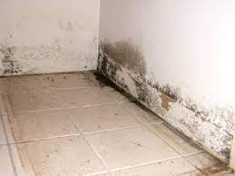 Ja dus, vooral bij langdurige blootstelling. Kleur In Het Interieur Schimmel Verwijderen Douche