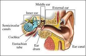 For example, mild tinnitus that is not bothersome may become more bothersome if you become depressed, anxious or stressed. Do You Hear What I Hear Signs And Symptoms Of Tinnitus Lewisgale Physicians