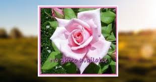 Viona Brock Whitehead Obituary April 7, 2011