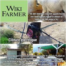 Abriter Des Chevaux Wikifarmer Cheval Cloture Electrique Abri Chevaux