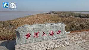 最新|《giga特摄女战士》HD无广告在线观看-谍战剧-星辰影院_澎湃新闻_大众网