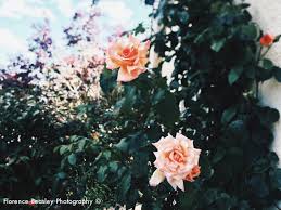 Florence Beasley Photography