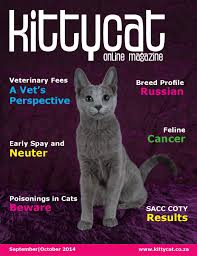 1.4 your cat's health plan. Kittycat Issue 5 September October 2014 By Jenni Ferreira Issuu