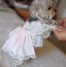 Beautiful Soft Pink Lace Dress For Small Dog Cute Wedding Dress For Dog 98 00 Via Etsy Dog Wedding Dress Dog Clothes Patterns Lace Pink Dress
