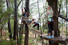 Go On A Treetop Adventure At Acrobranch Melrose Joburgbucketlist