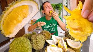 Aksi perlawanan malaysia vs thailand turut disiarkan secara siaran langsung atau live streaming di saluran sukan astro arena 801, 802 dan tv2 seawal jam 12 tengah. Durian Fruit In Thailand Trying 8 Different Varieties Of The World S Best Fruit Youtube
