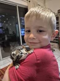 puppy selling and animal welfare concerns