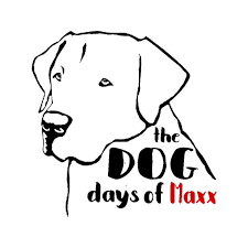 Dog Over the Collar Bandana STOP Do Not Pet, Bandana, Rescue Dog Bandanas,  Adopted Dog Bandana, Custom Over the Collar Dog Bandanas